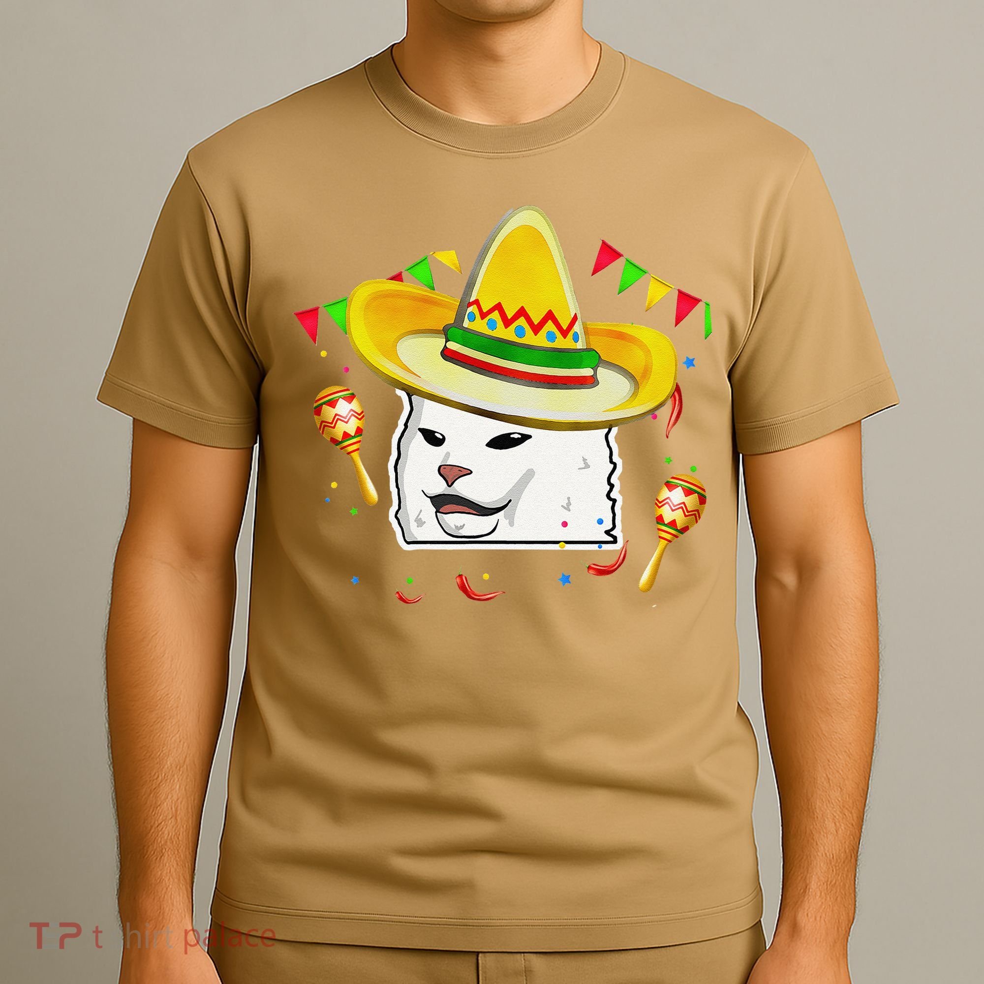 Cinco De Mayo Smudge Cat Mexican Lover Sombrero Cat Gifts T-Shirt