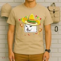 Cinco De Mayo Smudge Cat Mexican Lover Sombrero Cat Gifts T-Shirt thumb 6