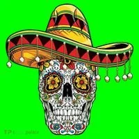 Cinco De Mayo Fiesta Skull T-Shirt thumb 7