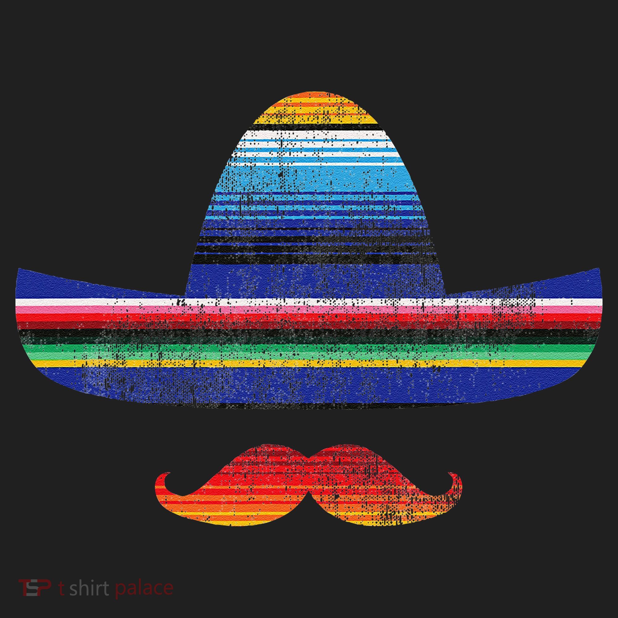 Cinco De Mayo Serape Blanket Inspired Sombrero Mustache Tumbler