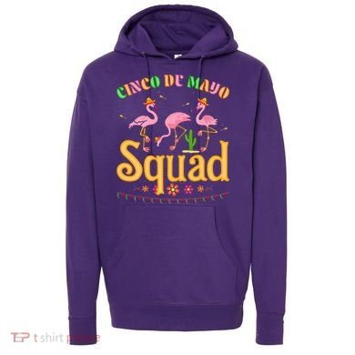 Cinco De Mayo Squad Flamingo Hoodie