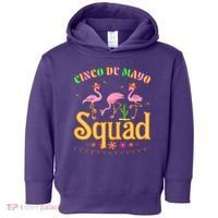 Cinco De Mayo Squad Flamingo Toddler Hoodie thumb 0