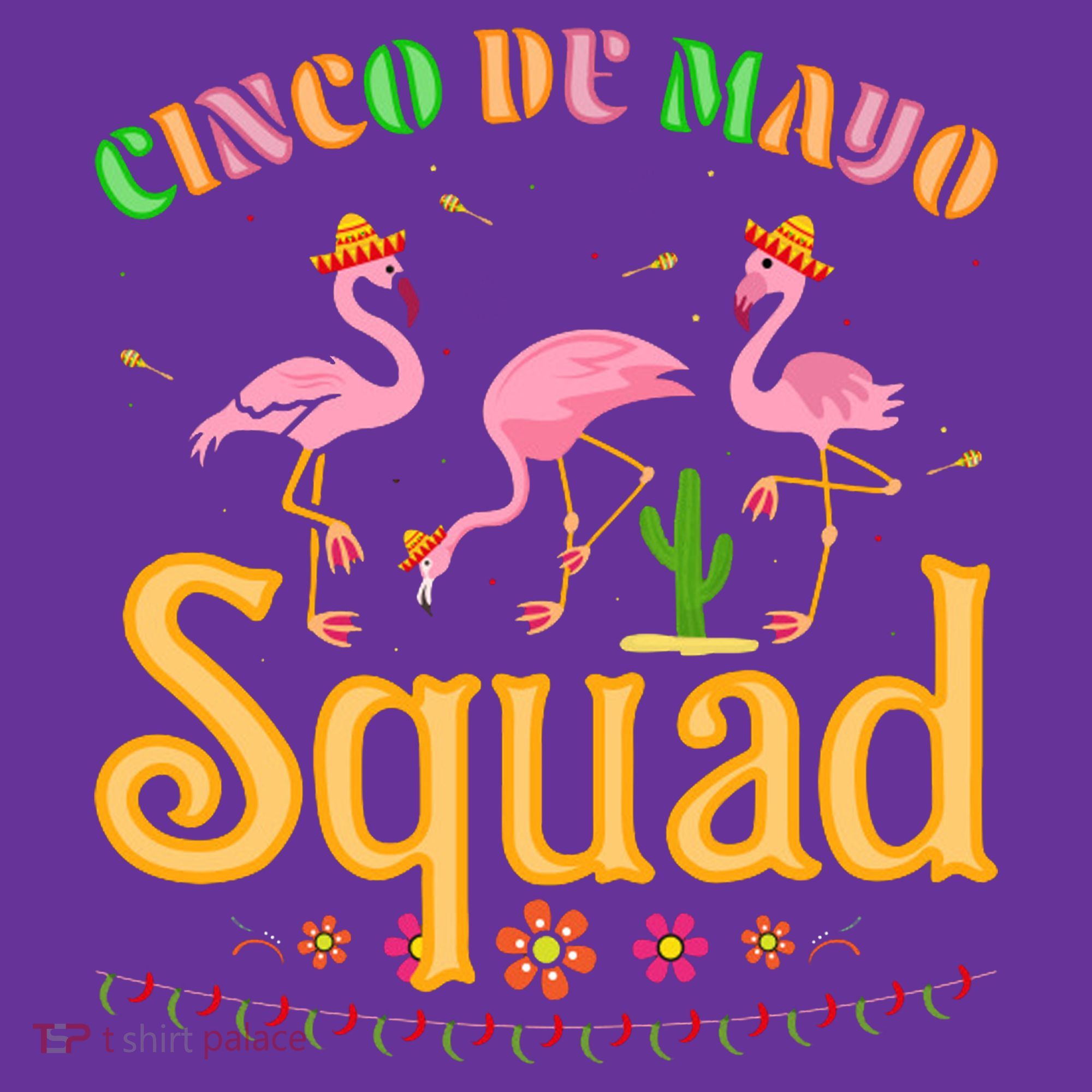Cinco De Mayo Squad Flamingo Toddler Hoodie