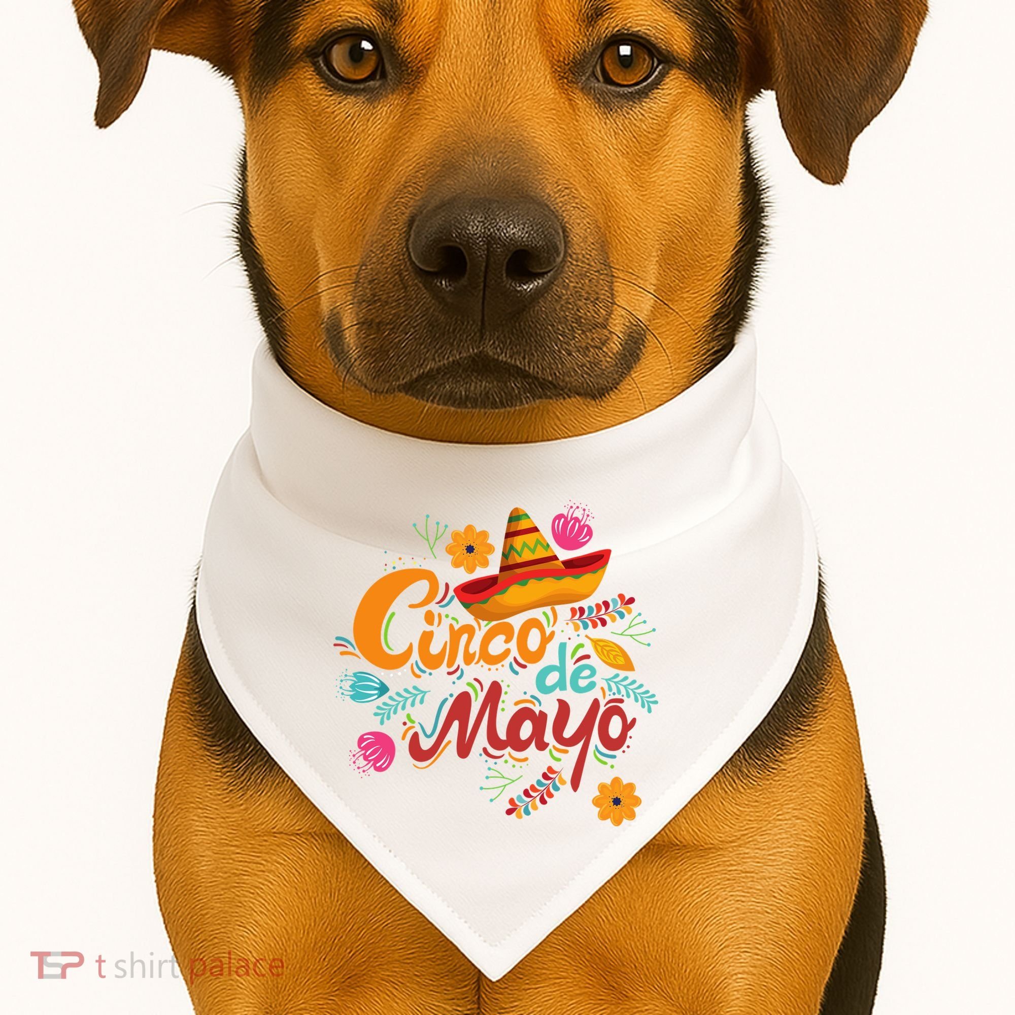 Cinco De Mayo Fiesta Celebration USA-Made Doggie Bandana