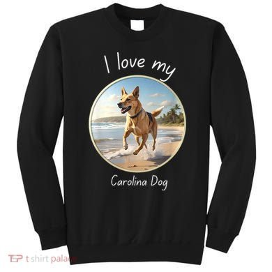 Carolina Dog Matter Dog Running On Beach Sweatshirt