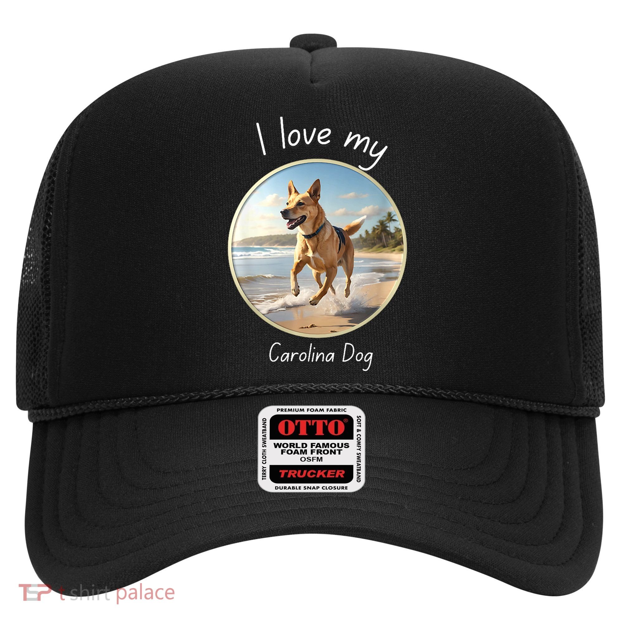 Carolina Dog Matter Dog Running On Beach Hat