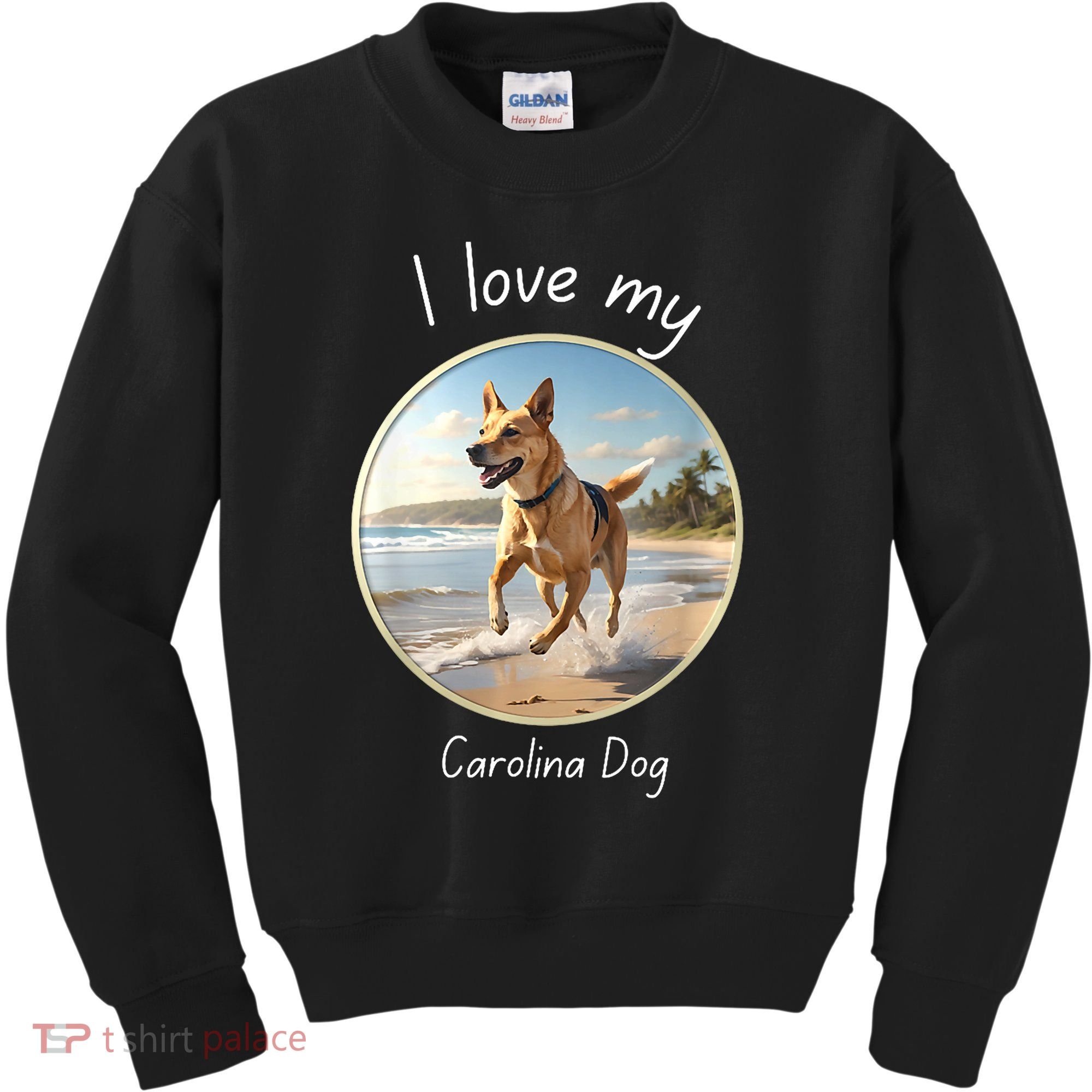 Carolina Dog Matter Dog Running On Beach Kids Sweatshirt