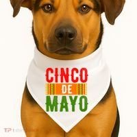 Cinco De Mayo Holiday Festive USA-Made Doggie Bandana thumb 1