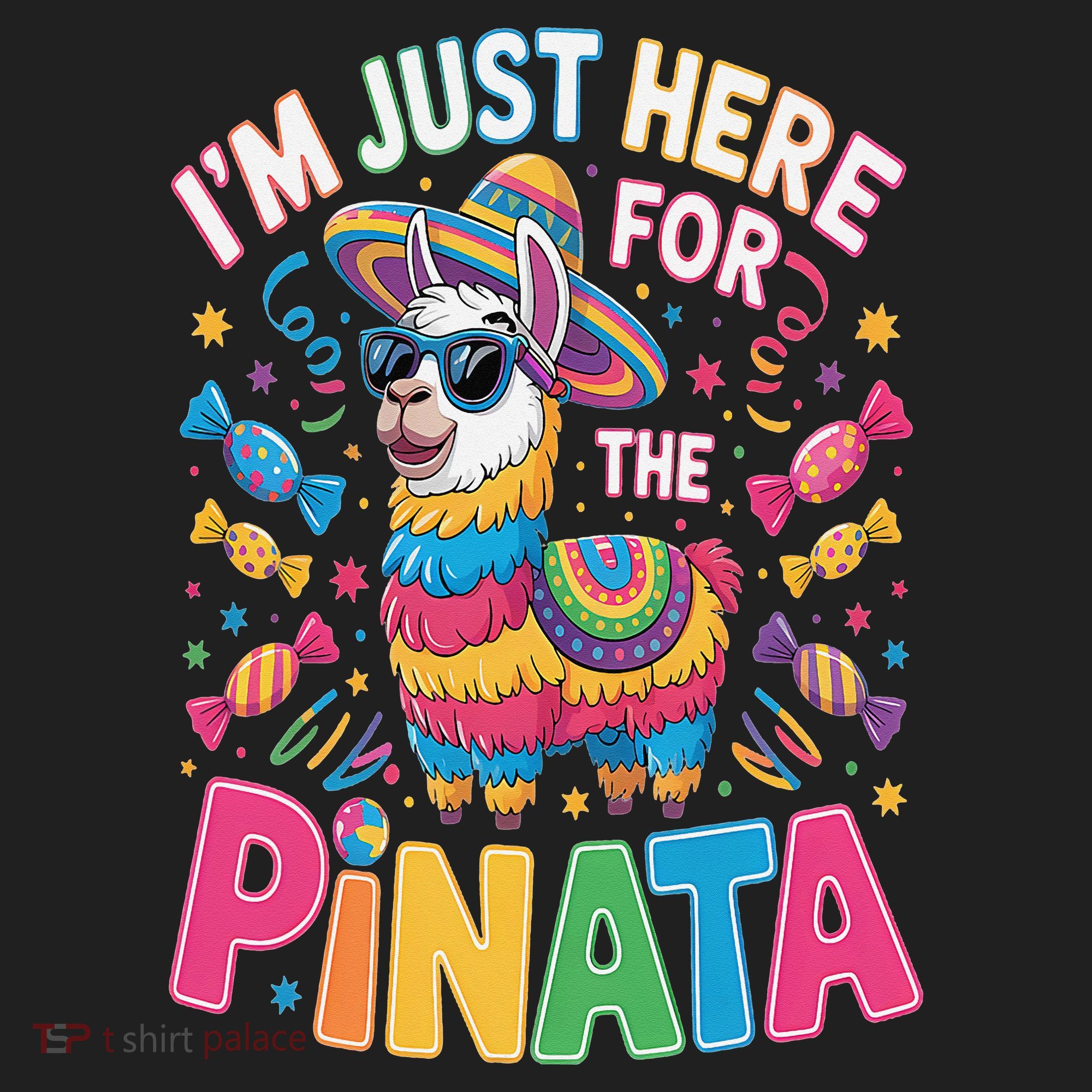 Cinco De Mayo IM Just Here For The Pinata Mexican Beanie