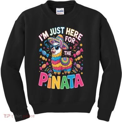 Cinco De Mayo IM Just Here For The Pinata Mexican Kids Sweatshirt