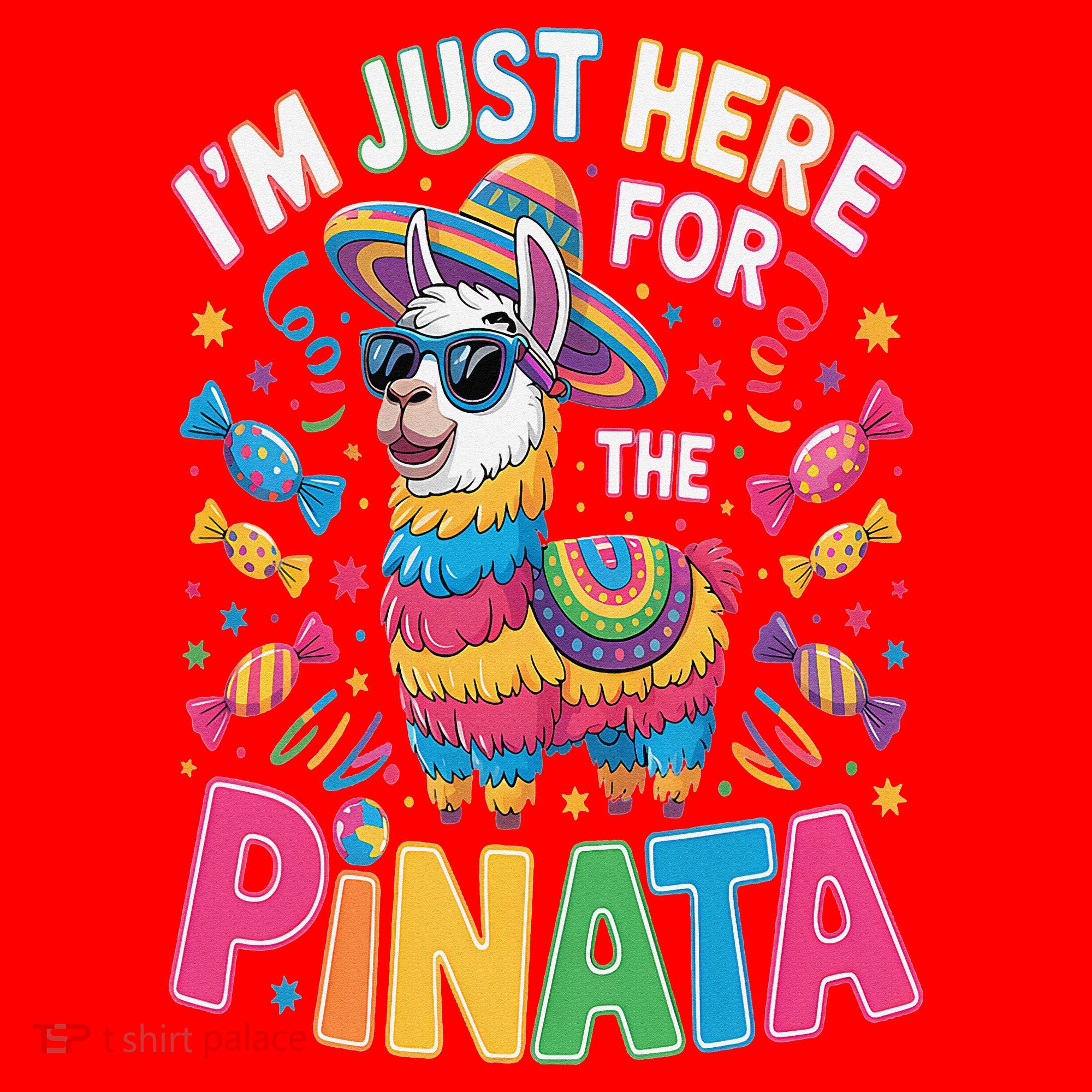 Cinco De Mayo IM Just Here For The Pinata Mexican Santa Hat