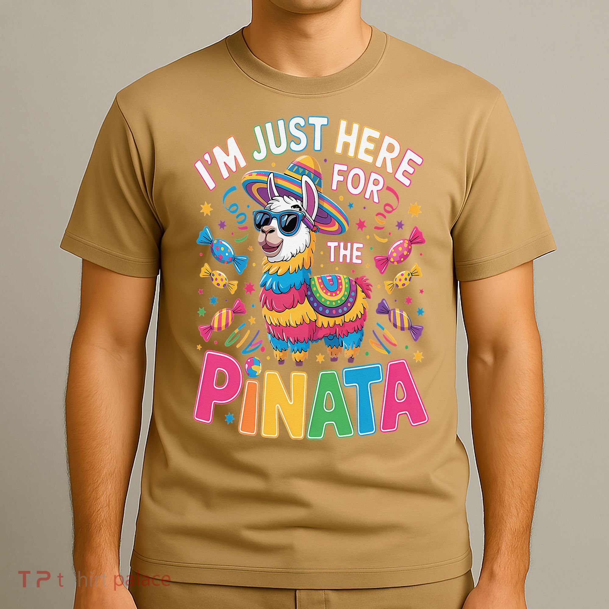 Cinco De Mayo IM Just Here For The Pinata Mexican T-Shirt