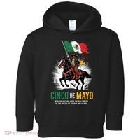 Cinco De Mayo Mexican Battle Puebla 1862 Anniversary  Toddler Hoodie thumb 0