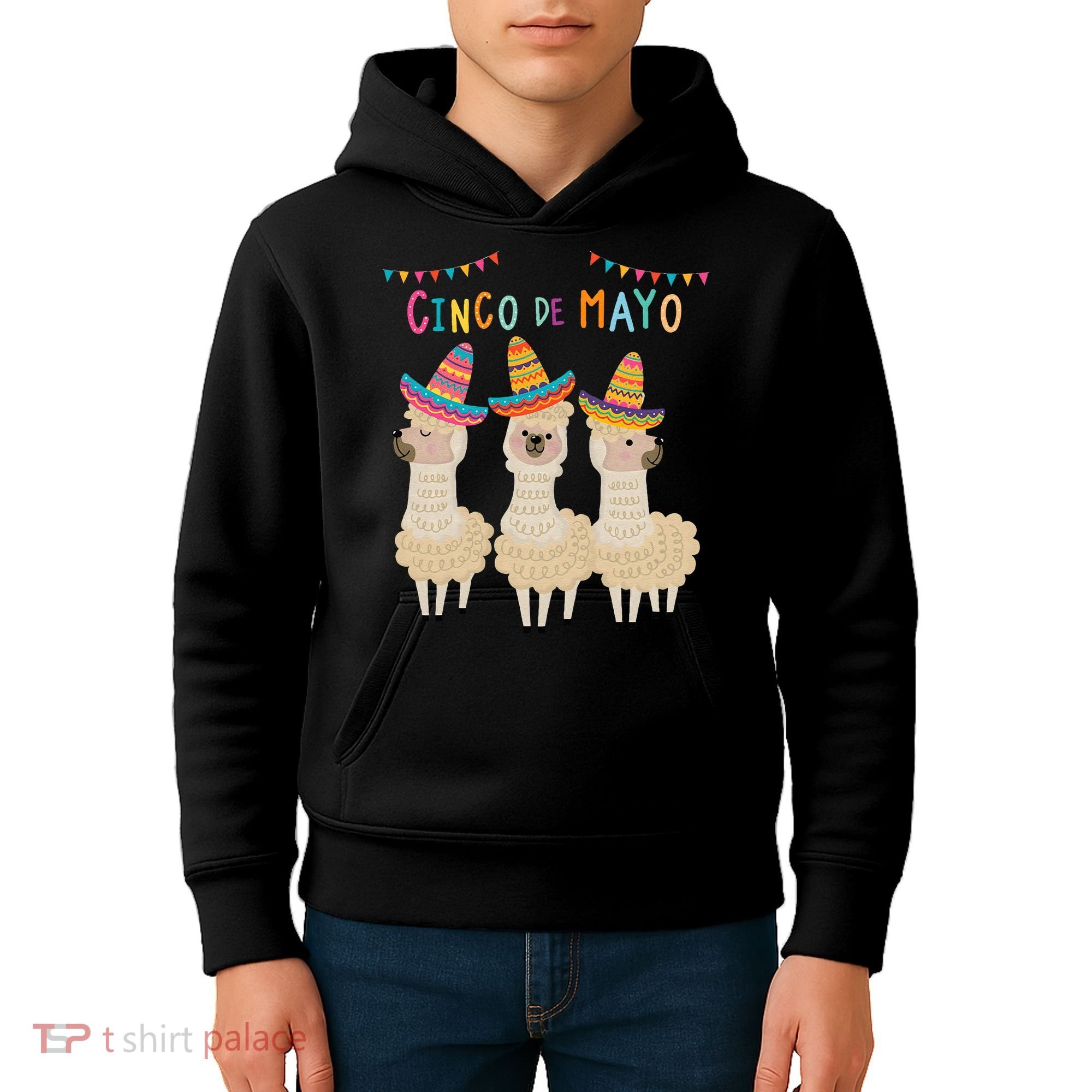 Cinco De Mayo Llama Fiesta Kids Hoodie