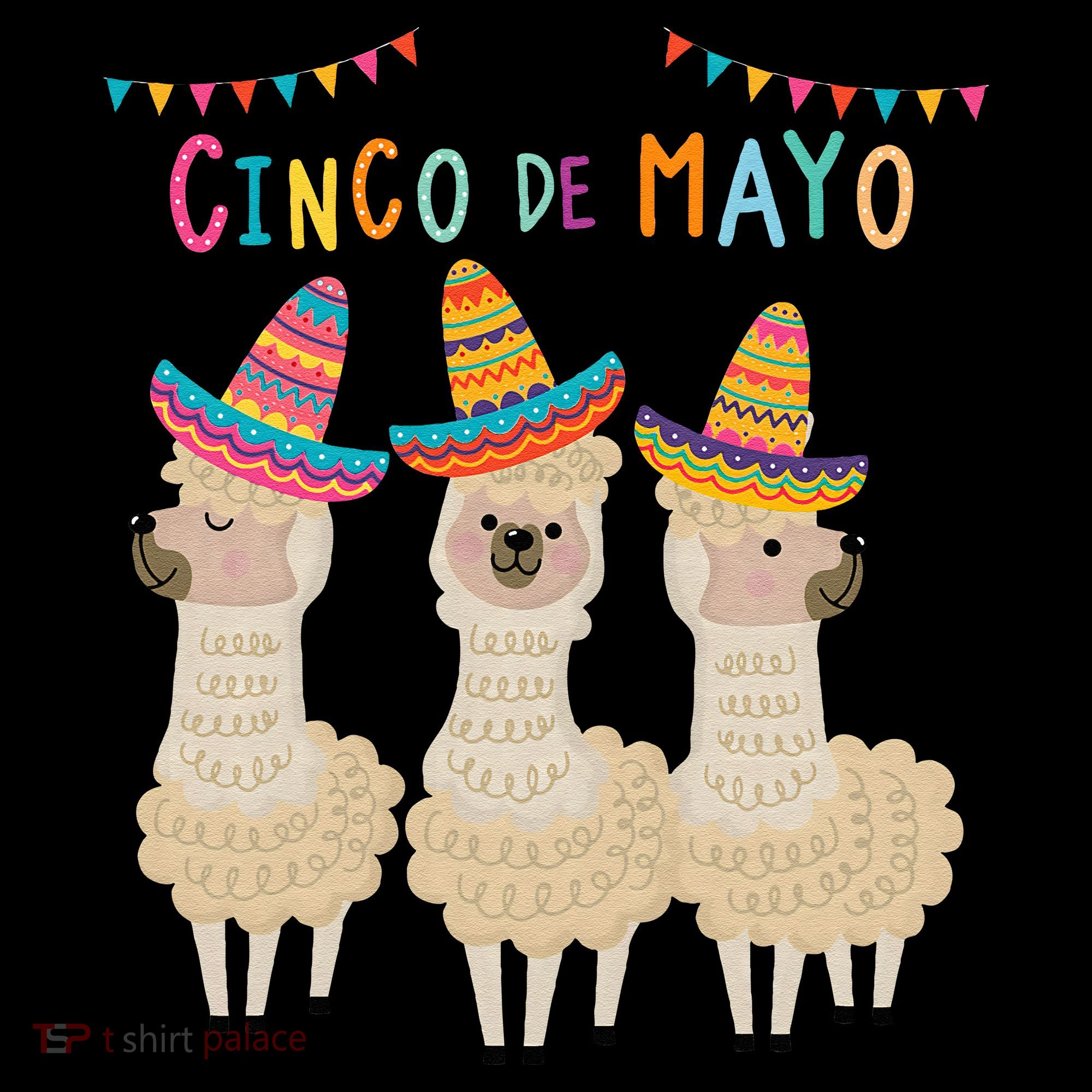 Cinco De Mayo Llama Fiesta Kids Long Sleeve Shirt