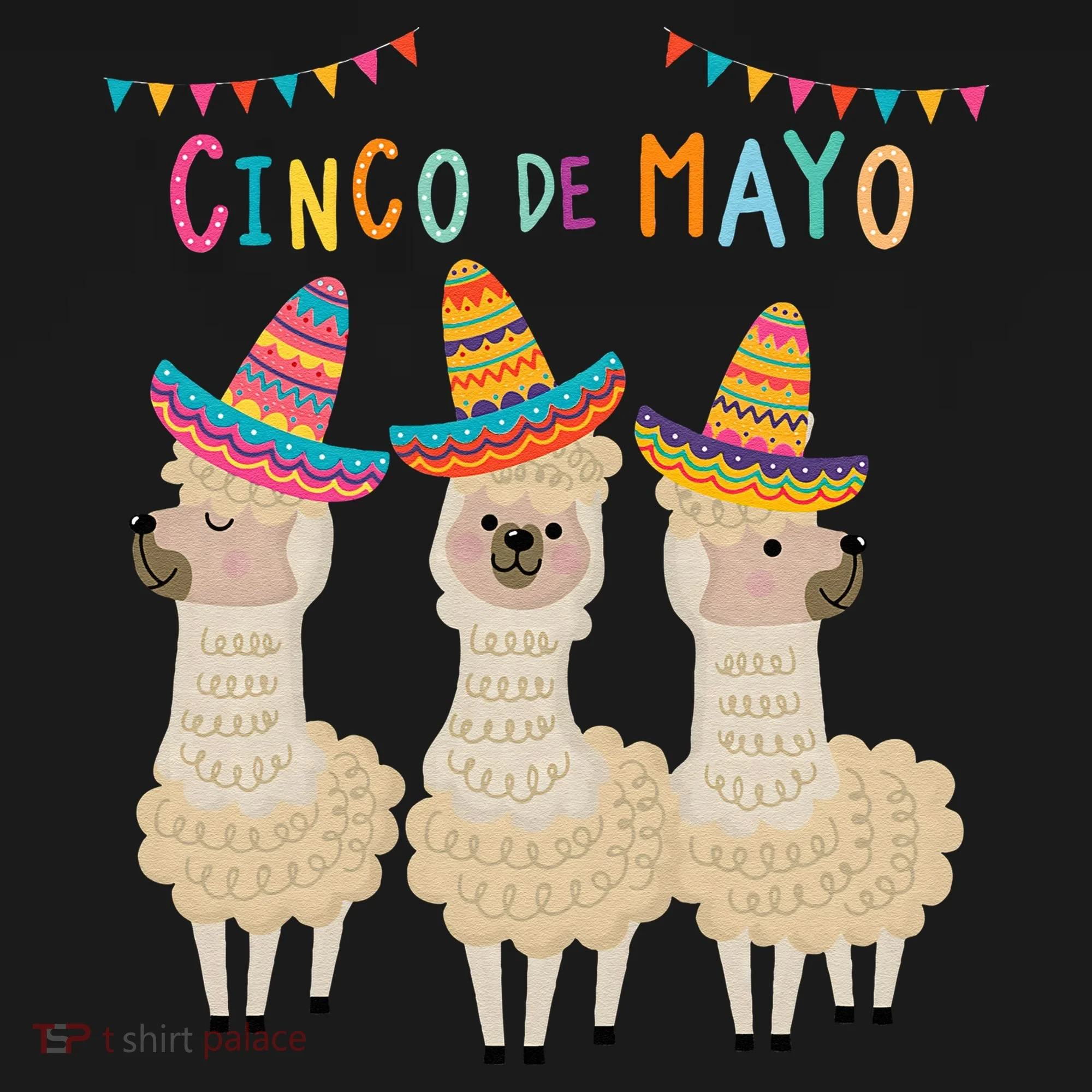 Cinco De Mayo Llama Fiesta Kids Long Sleeve Shirt