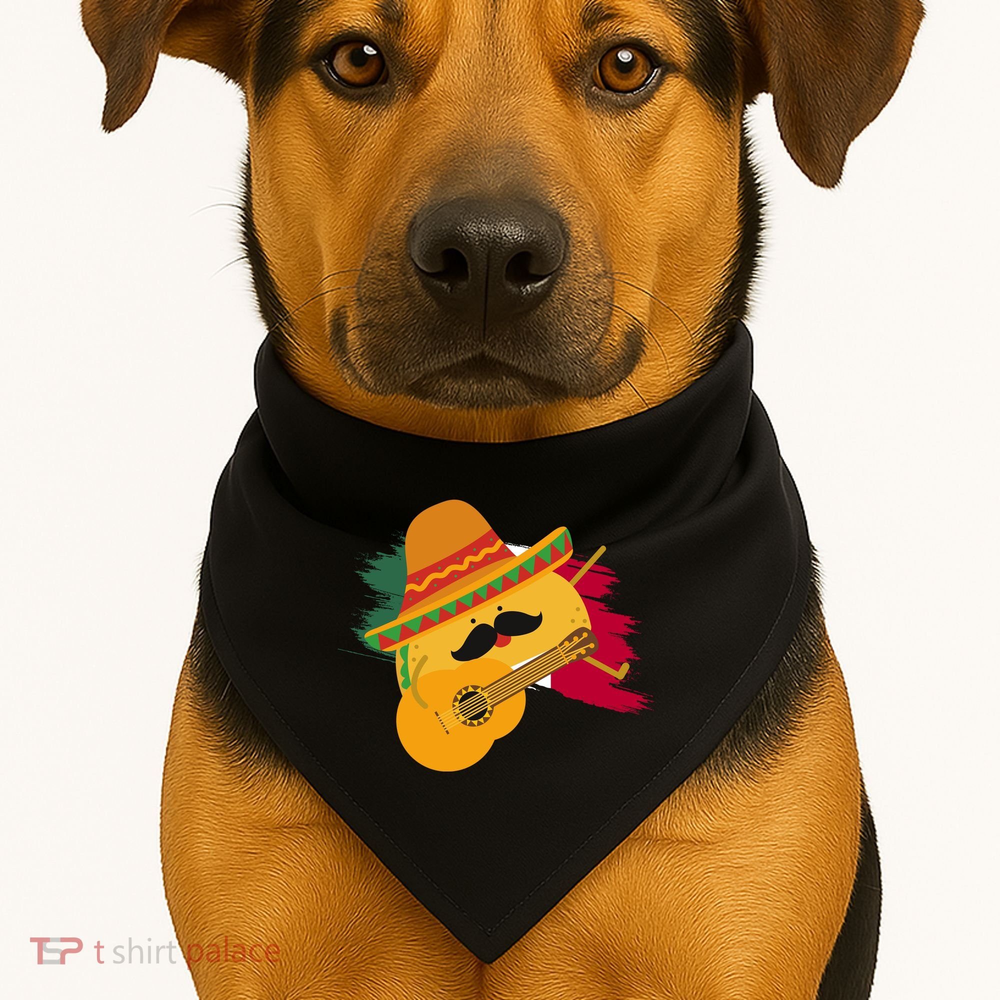 Cinco De Mayo Taco Fiesta Mexico Flag USA-Made Doggie Bandana