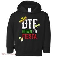 Cinco De Mayo DTF Down To Fiesta Toddler Hoodie thumb 0