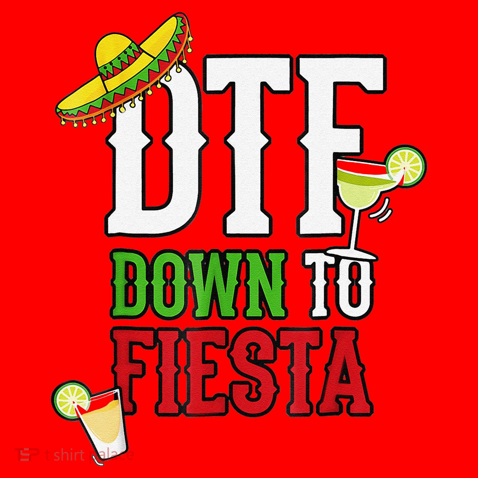 Cinco De Mayo DTF Down To Fiesta Santa Hat