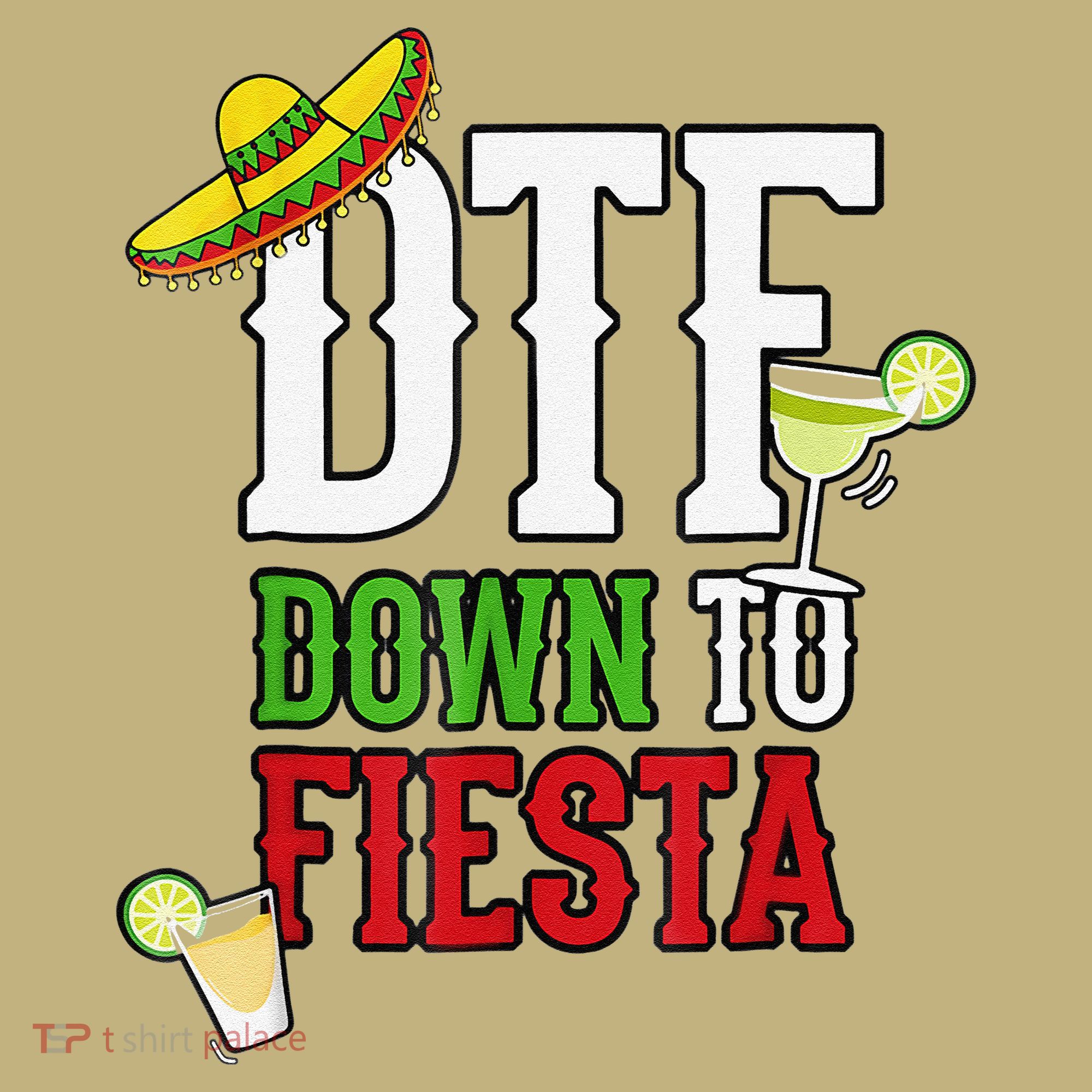 Cinco De Mayo DTF Down To Fiesta Long Sleeve Shirt