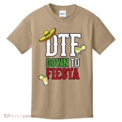 Cinco De Mayo DTF Down To Fiesta Kids T-Shirt