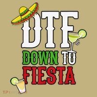 Cinco De Mayo DTF Down To Fiesta Kids T-Shirt thumb 2