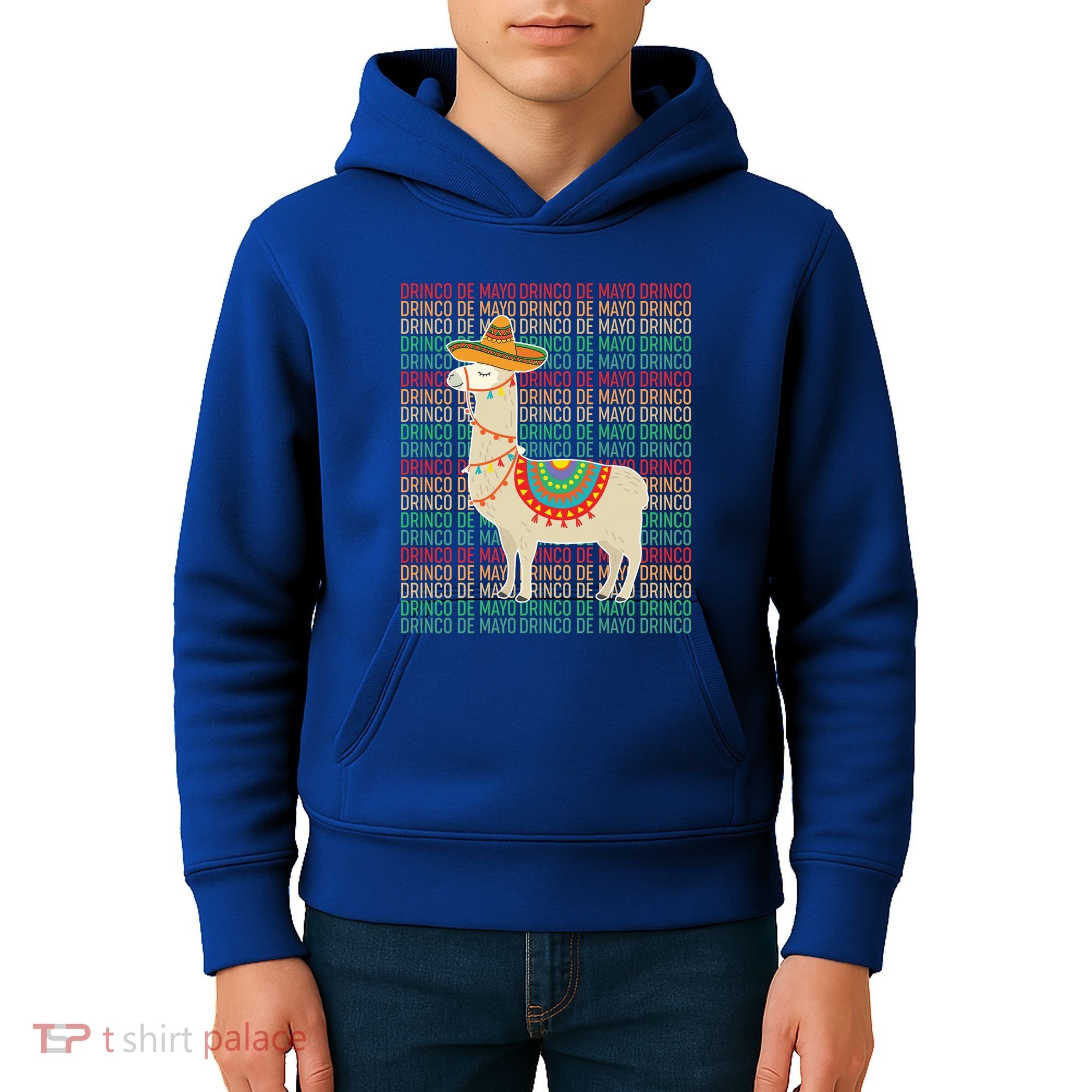 Cinco De Mayo Mexican Llama O De Mayo Gift Kids Hoodie