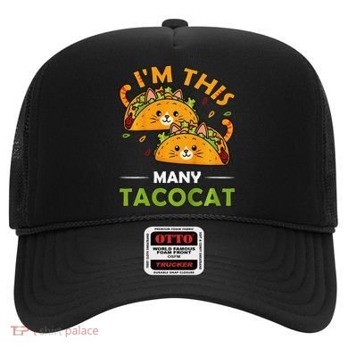 Cinco De Mayo Im This Many Tacocat Art Taco Cat Kitten Hat