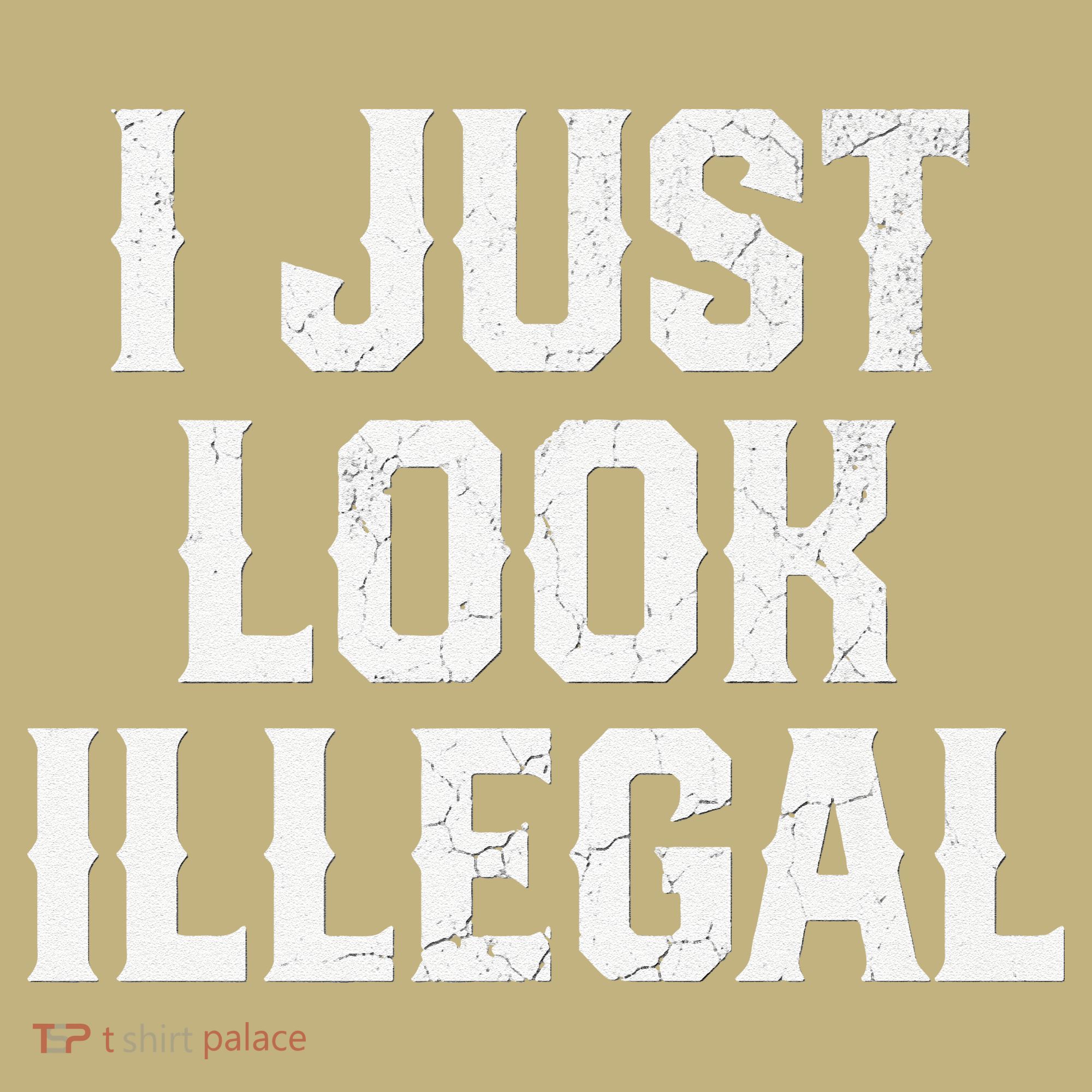 Cinco De Mayo I JUST LOOK ILLEGAL Mexican Funny Long Sleeve Shirt