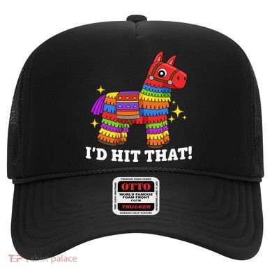 Cinco De Mayo Id Hit That Funny Pinata Hat