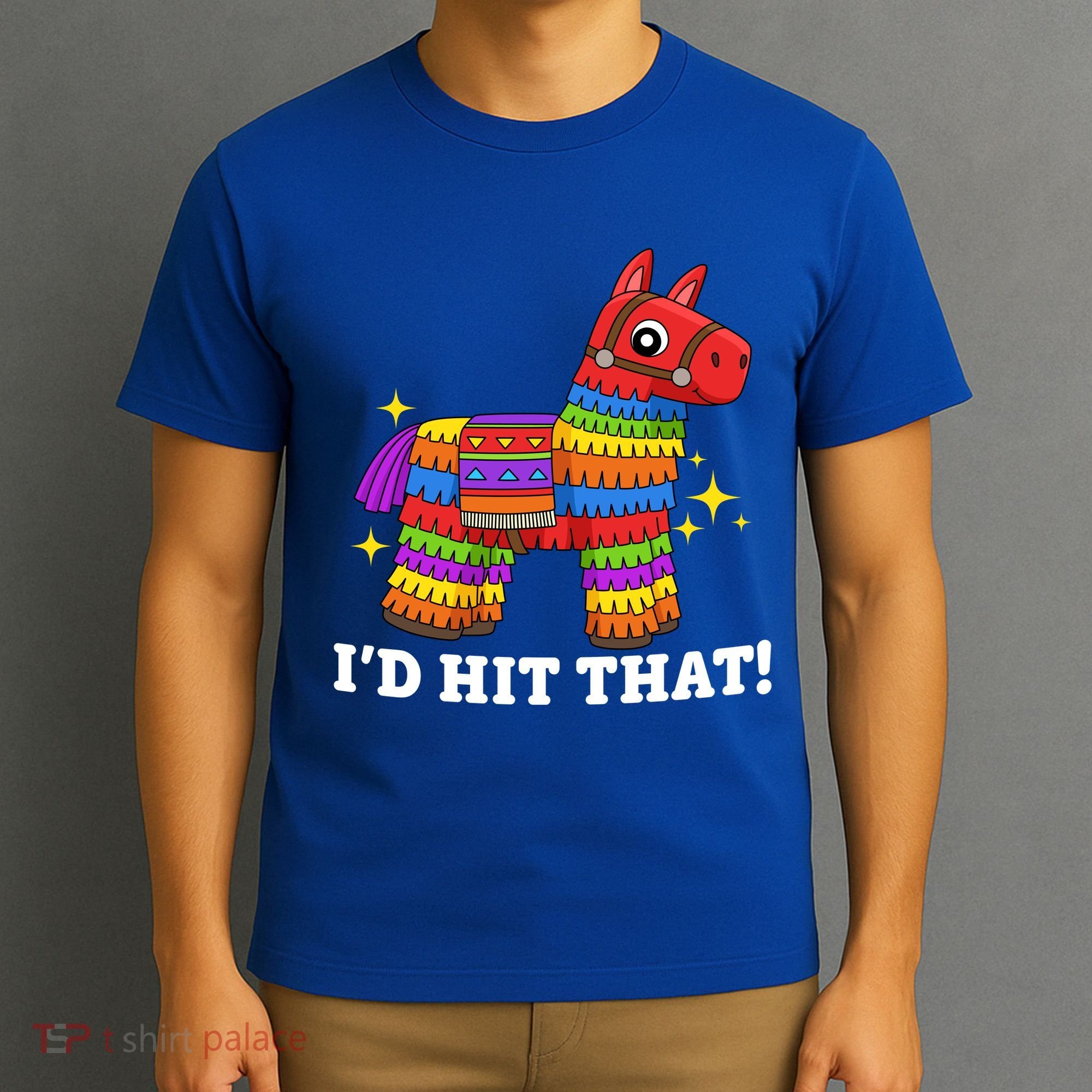 Cinco De Mayo Id Hit That Funny Pinata T-Shirt