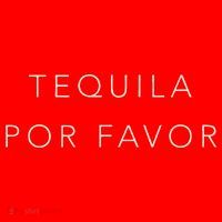 Cinco De Mayo Tequila Por Favor Cute Santa Hat thumb 1