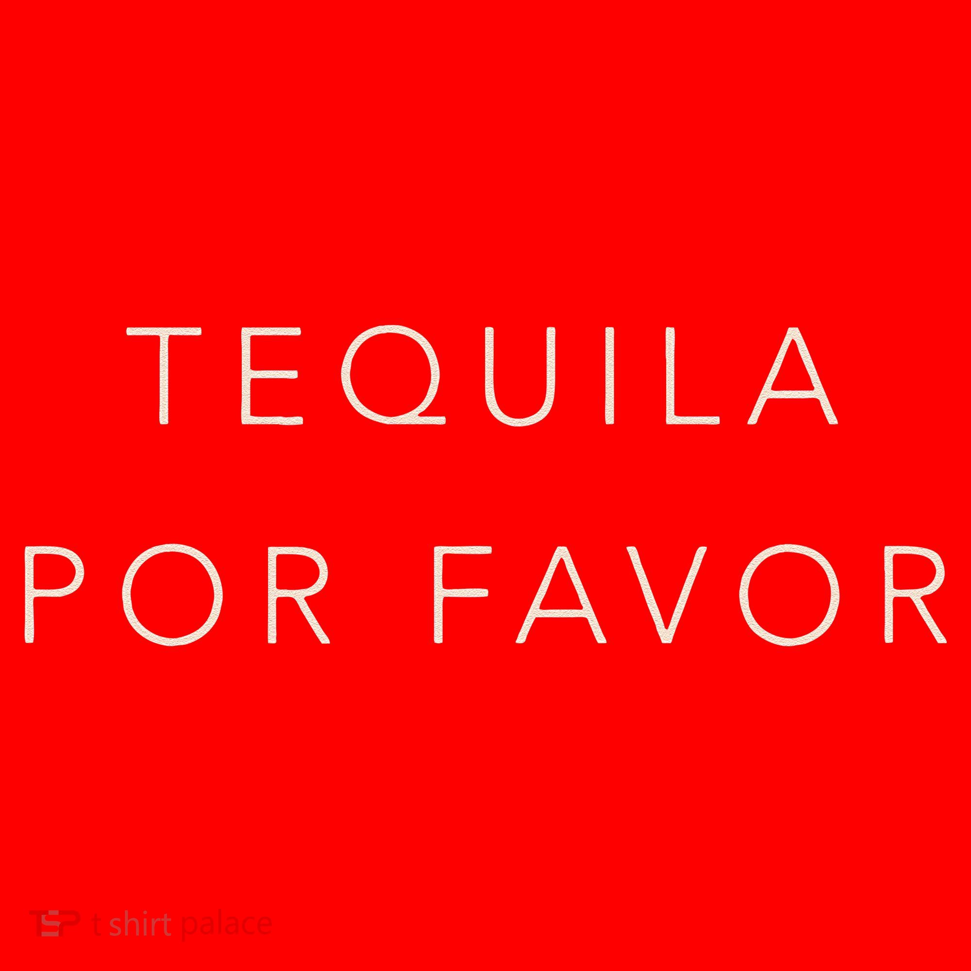 Cinco De Mayo Tequila Por Favor Cute Santa Hat