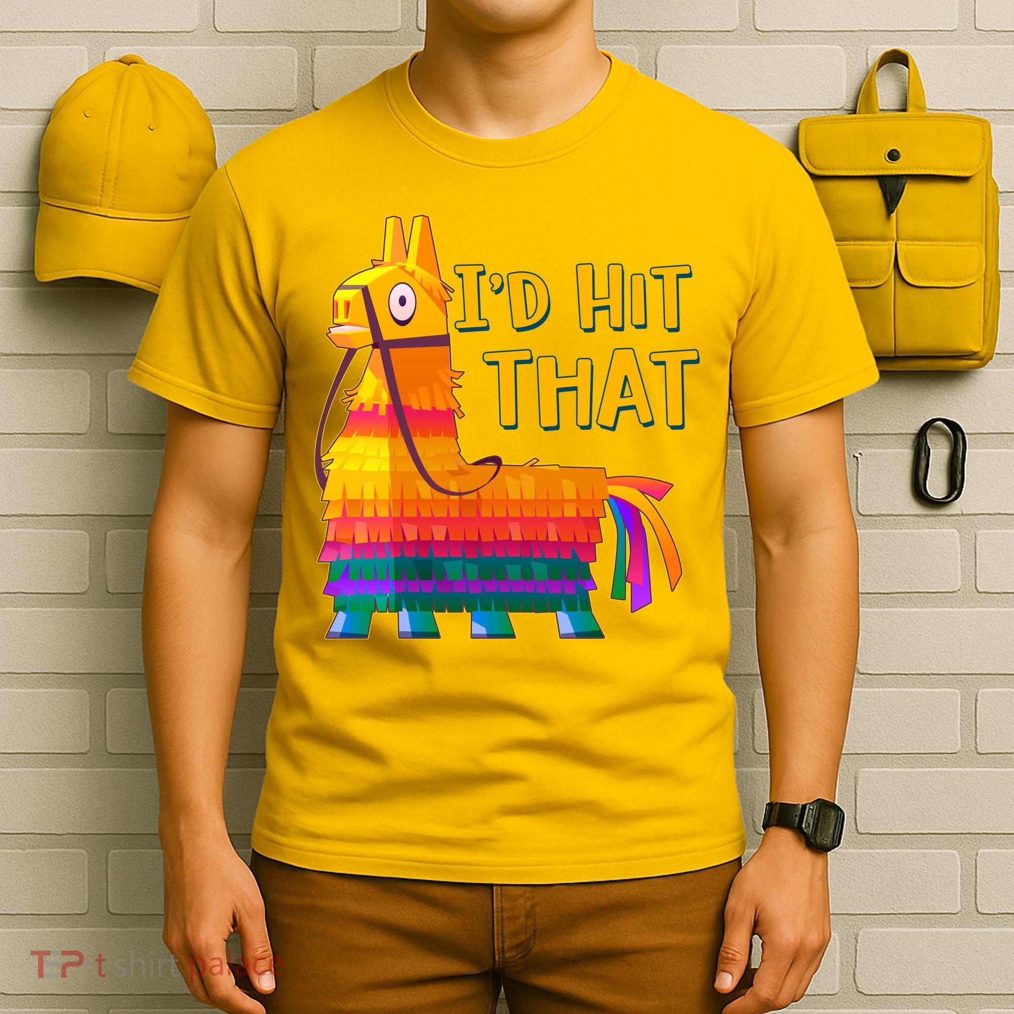 Cinco De Mayo Pinata I'd Hit That T-Shirt