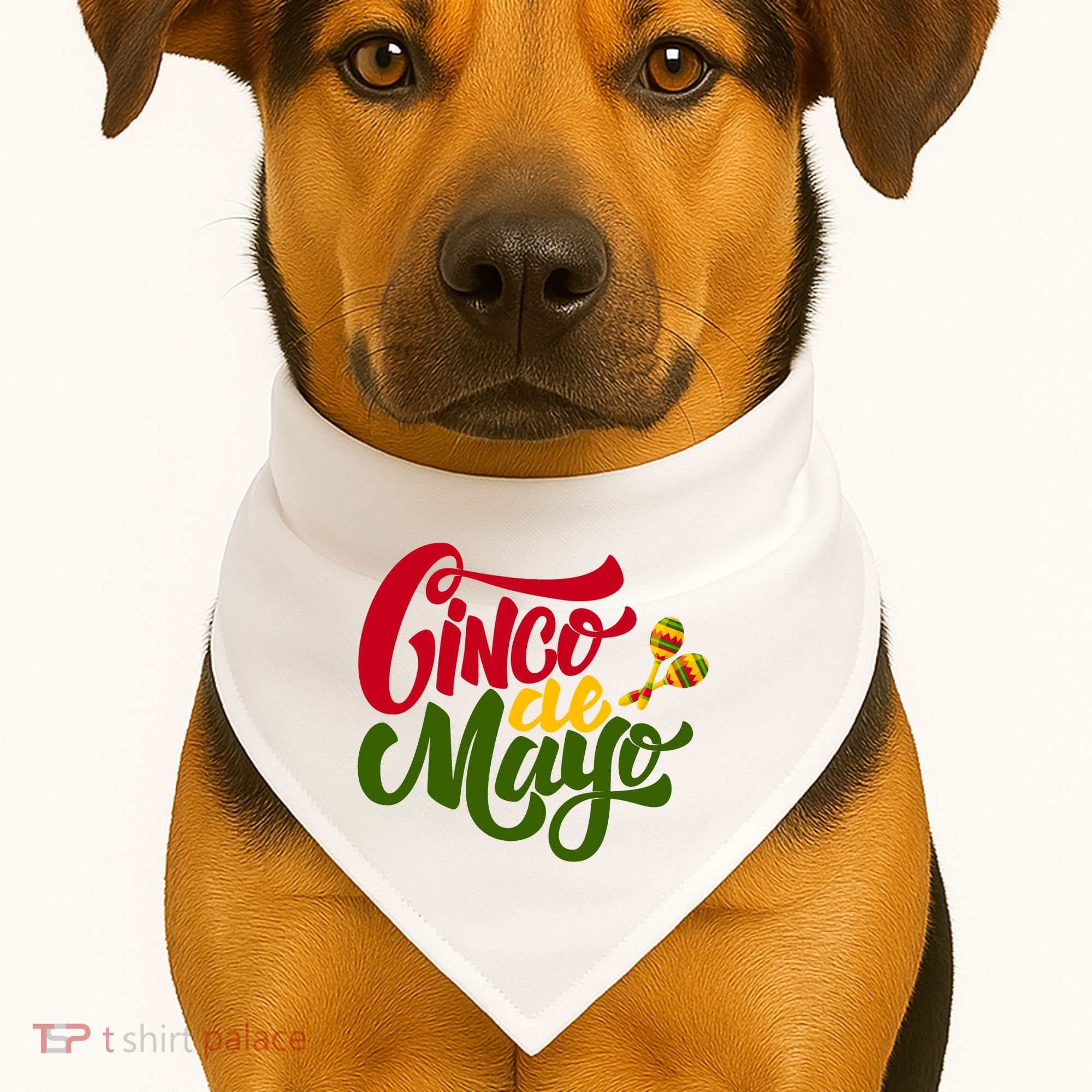 Cinco De Mayo Celebration USA-Made Doggie Bandana