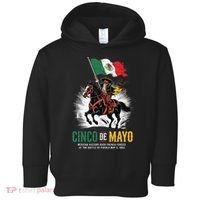 Cinco De Mayo Mexican Battle Puebla 1862 Anniversary Toddler Hoodie thumb 0