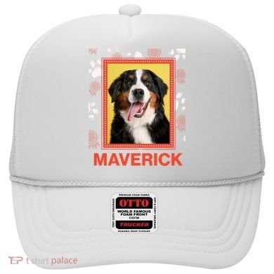 Custom Dog Pet Personalize Picture Photo Name Hat