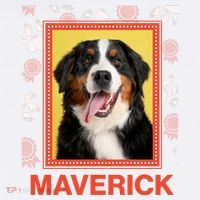 Custom Dog Pet Personalize Picture Photo Name Women's T-Shirt thumb 6