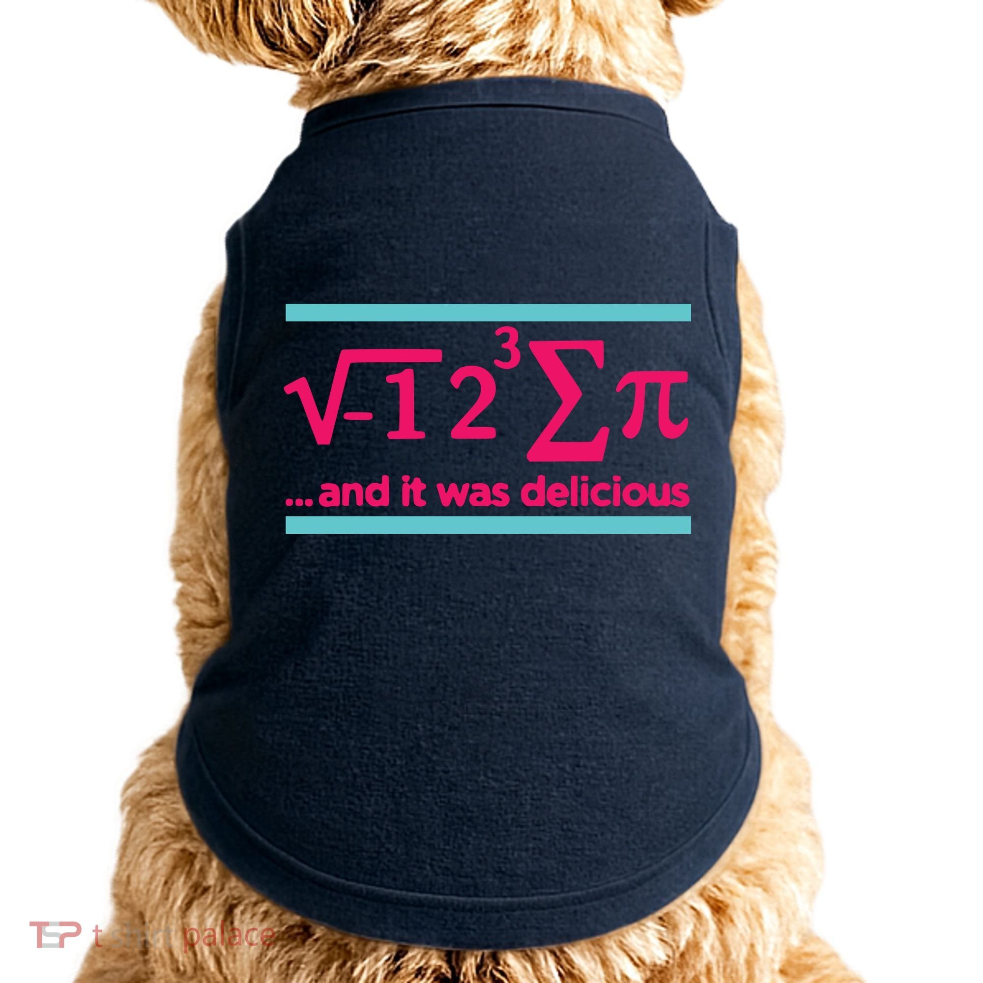 Cool Delicious Pi Day Doggie Tank
