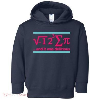 Cool Delicious Pi Day Toddler Hoodie