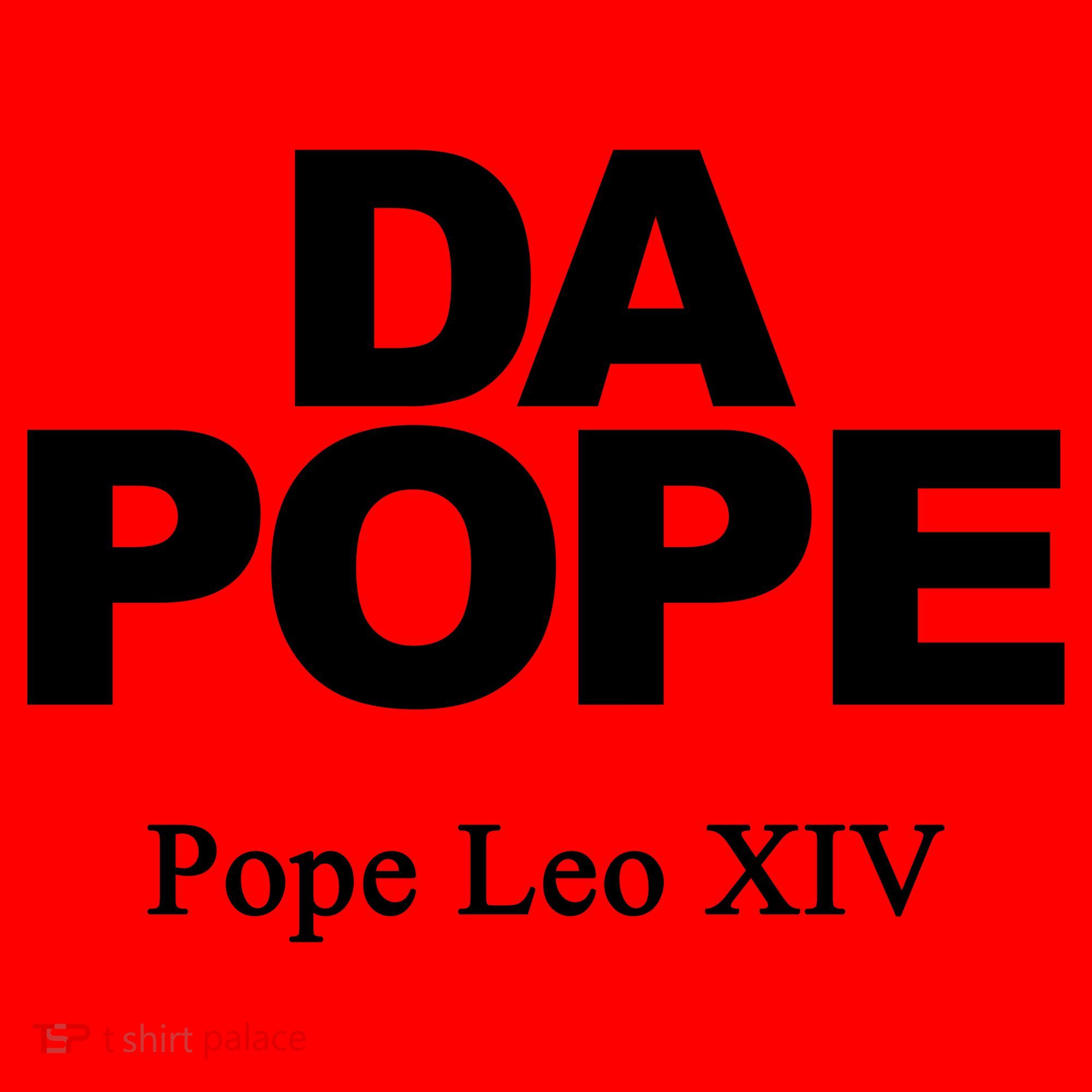 Chicago Da Pope Leo XIV Cardinal Robert Prevost Santa Hat