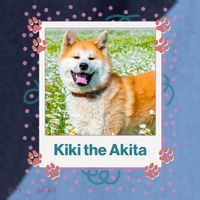 Custom Dog Pet Personalized Picture Raglan Baseball Sleeve Shirt thumb 2