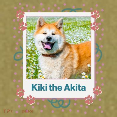 Custom Dog Pet Personalized Picture Garment-Dyed Women's Muscle Tee