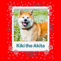 Custom Dog Pet Personalized Picture Santa Hat thumb 1