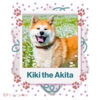 Custom Dog Pet Personalized Picture Ceramic Ornament thumb 2