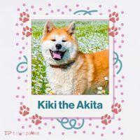 Custom Dog Pet Personalized Picture Sweatshirt thumb 3
