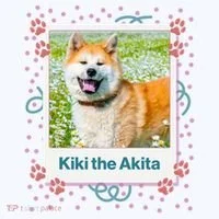 Custom Dog Pet Personalized Picture Women's T-Shirt thumb 6