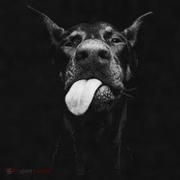 Cool Doberman Sticking Tongue Out In Playful Defiance Ladies PosiCharge Tri-Blend Wicking Tank thumb 2