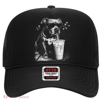 Cool Dog Sunglasses Drinking Ice Coffee Graphic Hat
