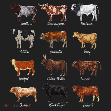Cattle Drawings Types Of Cows Comfort Colors T-Shirt